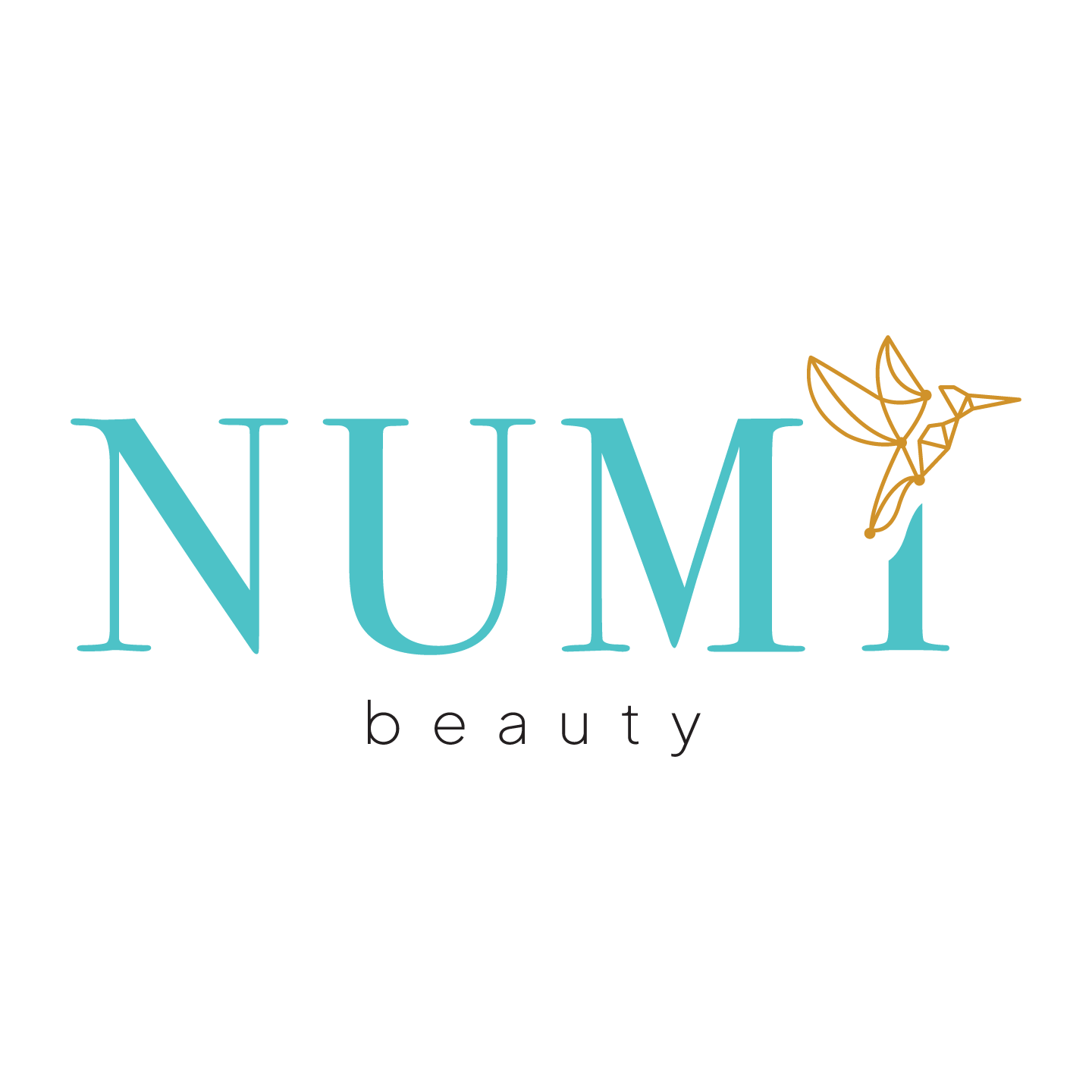 /posao/logo/Numi logo-10c42f97df51dbc744572ae4bdc29cbf.png